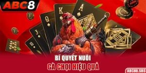 Bí quyết nuôi gà chọi hiệu quả