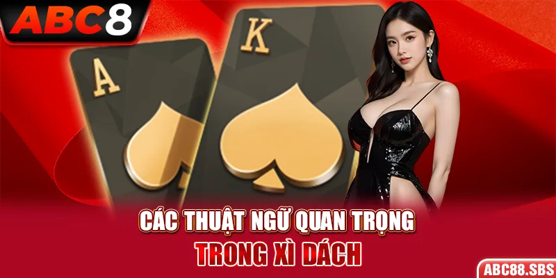 Các thuật ngữ quan trọng