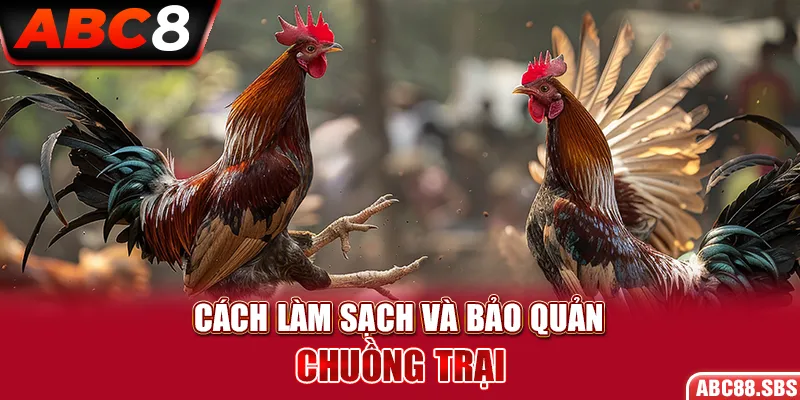 Cách Làm Sạch Và Bảo Quản Chuồng Trại