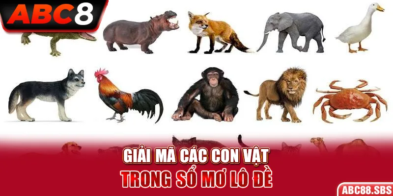 Giải mã các con vật trong sổ mơ lô đề