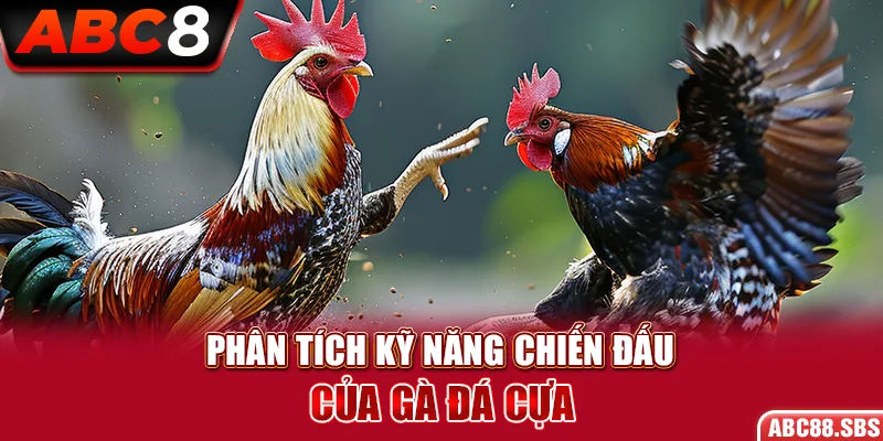 Phân tích kỹ năng chiến đấu