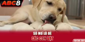 Sổ Mơ Lô Đề Các Con Vật