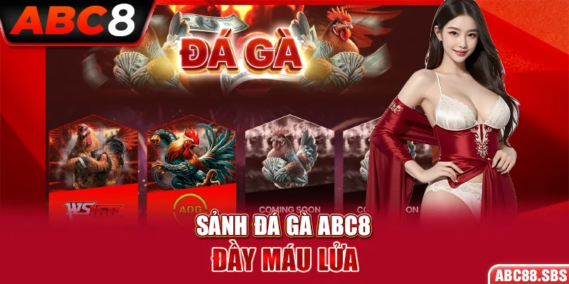 Sảnh đá gà ABC8